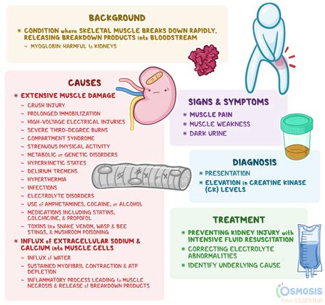 Symptoms Of Rhabdomyolysis