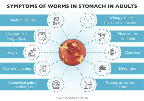 Symptoms Of Worms In Stomach In Adults