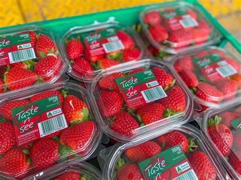 Taste N. See Strawberries Queensland