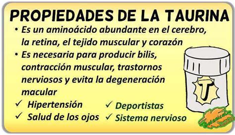 Taurina Que Es