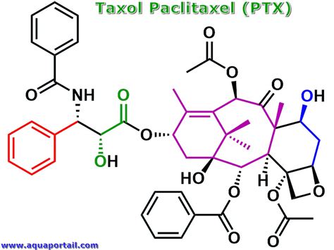 Taxol Structure