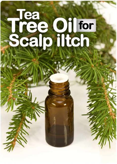 Tea Tree Oil For Scalp