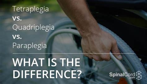 Tetraplegia Vs Quadriplegia