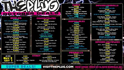 The Plug New Buffalo