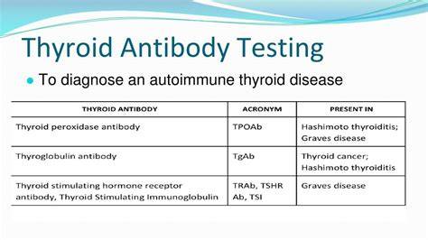 Thyroid Antibody Test