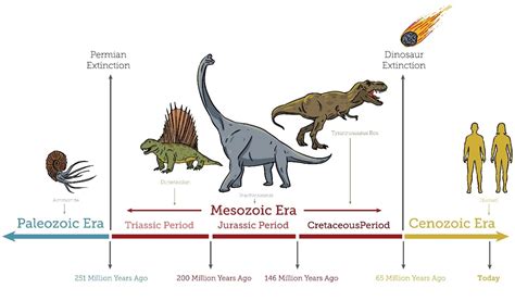 Timeline Of Dinosaurs