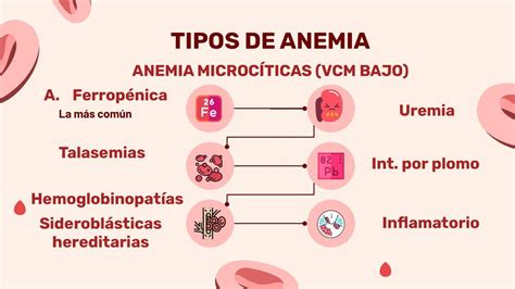 Tipos De Anemia