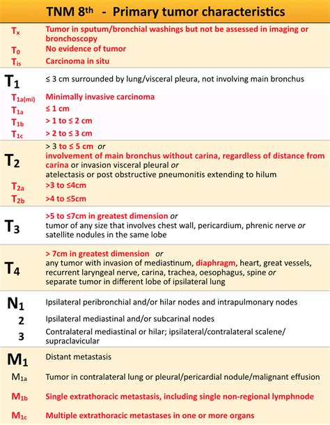Tnm Staging Lung Cancer