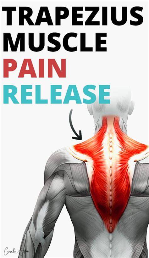 Trapezius Muscle Pain Relief