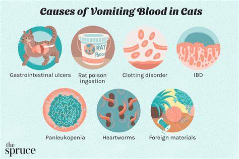 Treatment For Cat Vomiting Blood