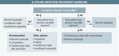 Treatment For H. Pylori