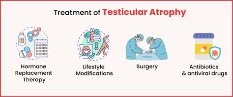 Treatment For Testicular Atrophy