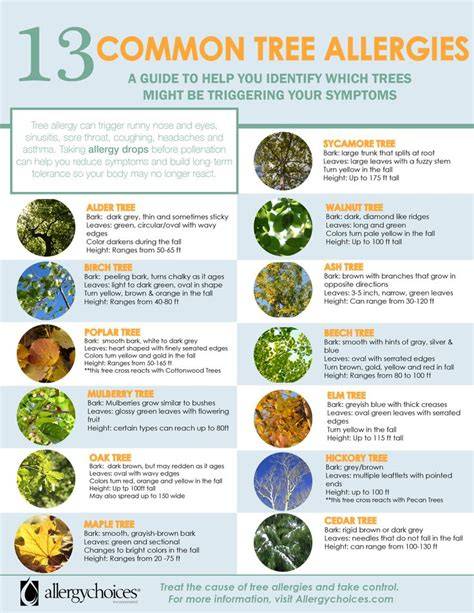 Tree Pollen Allergy