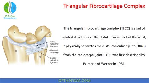Triangular Fibrocartilage Complex Injury