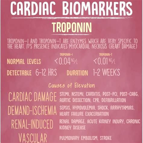 Troponin Levels Meaning