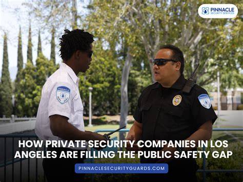 Trust And Safety Los Angeles