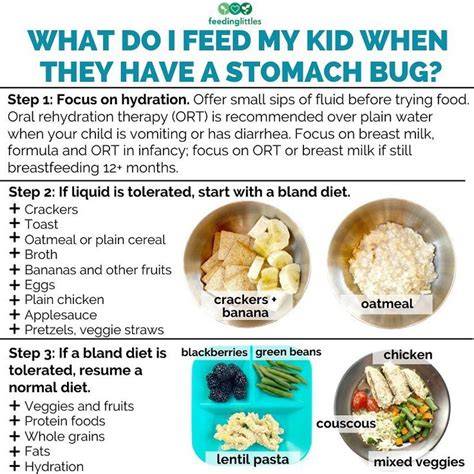 Tummy Bug What To Eat