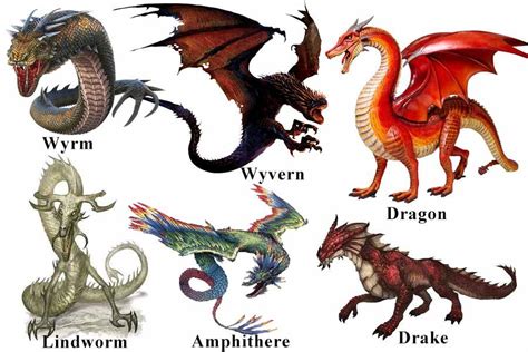 Types Of Dragons