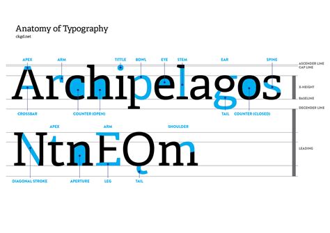Typography Letter Anatomy