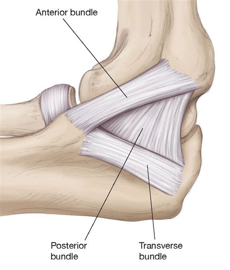 Ucl Tear Symptoms