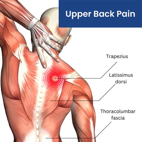 Upper Backbone Pain Reason