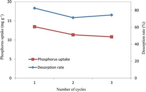 Uptake C Cycle