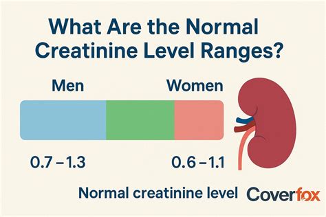 Urinalysis Creatinine Normal Levels