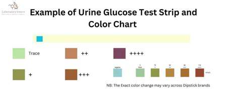 Urine Glucose Levels Chart