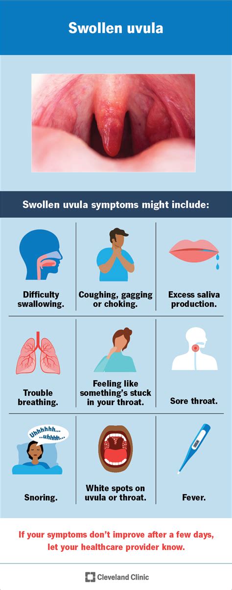 Uvula Enlarged Causes