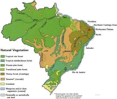 Vegetation Map Of Brazil