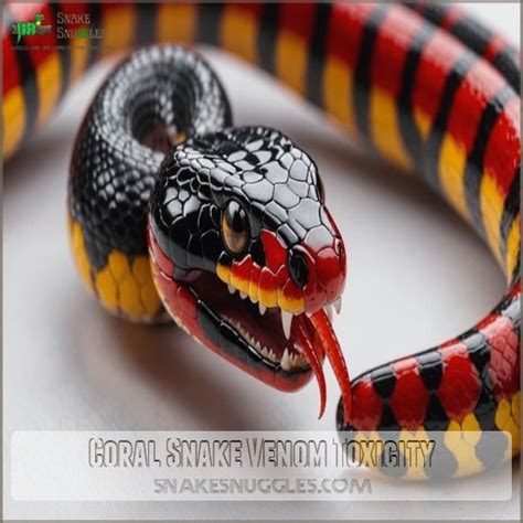 Venom Of Coral Snake