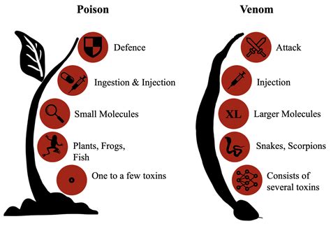 Venom Of Poison