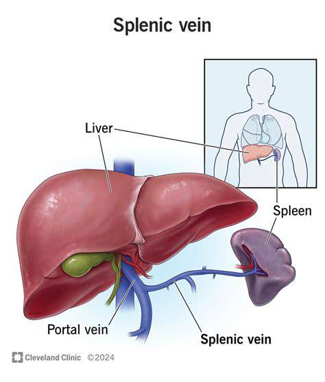 Venom Of Your Spleen