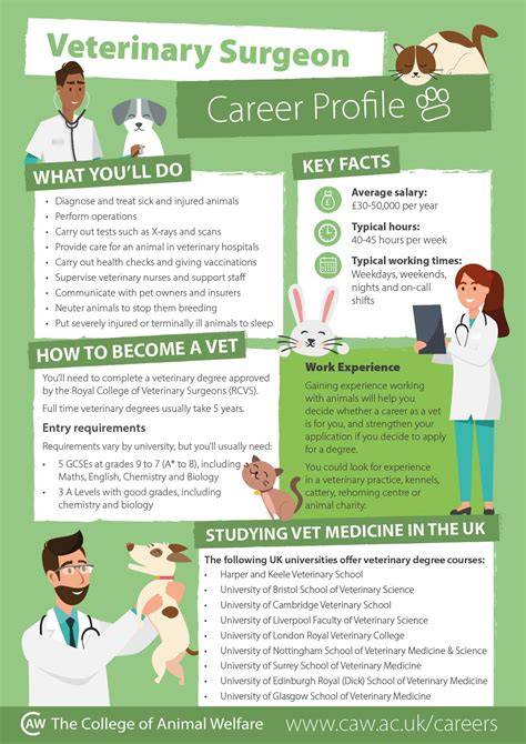 Vet Job Profile
