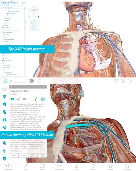 Virtual Anatomy