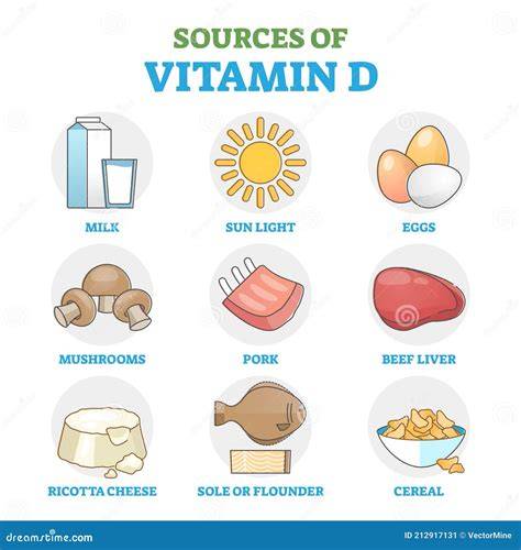 Vitamin D Sources From Food