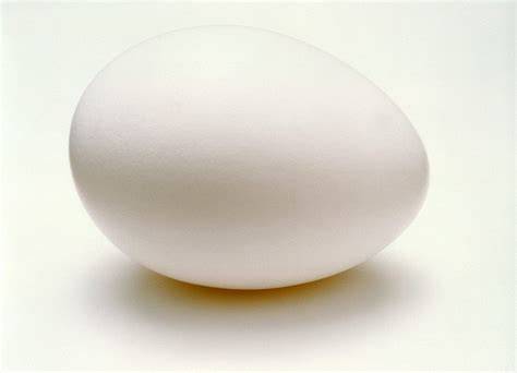Volume Of Egg White In One Egg