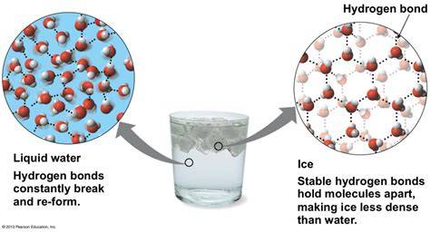 Volume Of Ice Vs Water