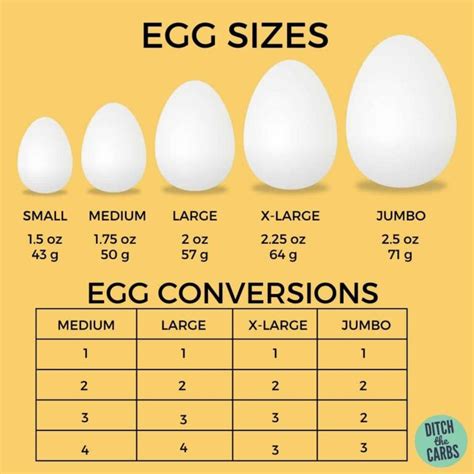 Volume Of Large Egg