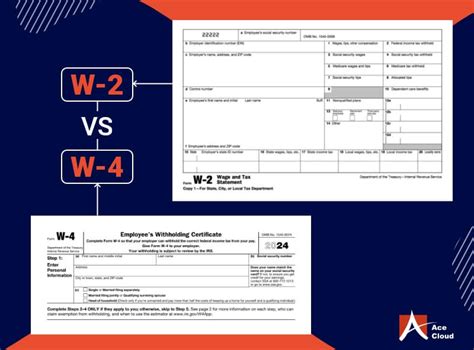 W4 Vs W2