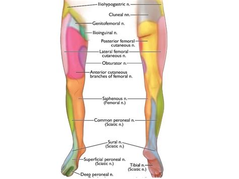 Warm Sensation Inside Leg