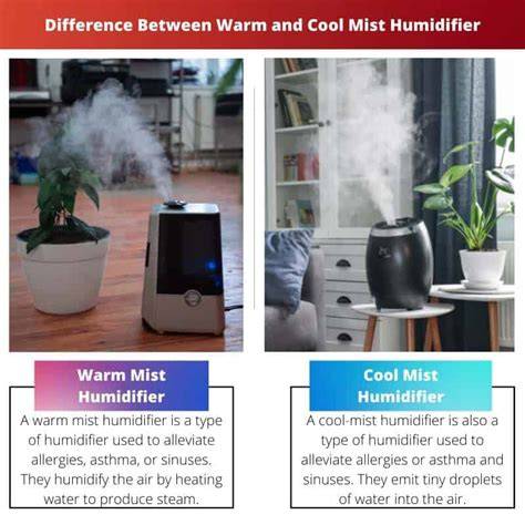 Warm Vs Cool Mist Humidifier