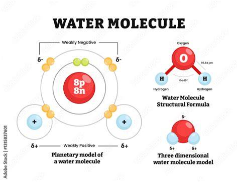 Water Molecule Diagram