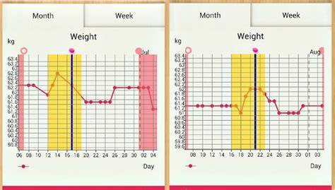 Weight Gain During Period Cycle