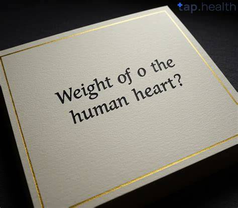 Weight Of Heart In Human Body