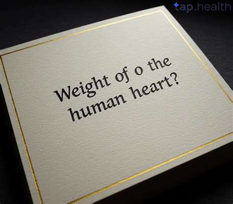 Weight Of Human Heart