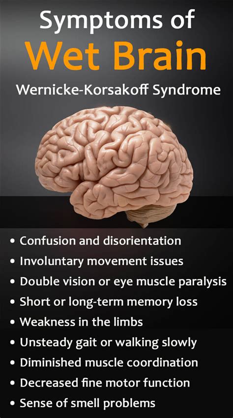 Wet Brain Symptoms