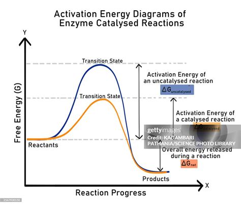 What Affects Activation Energy