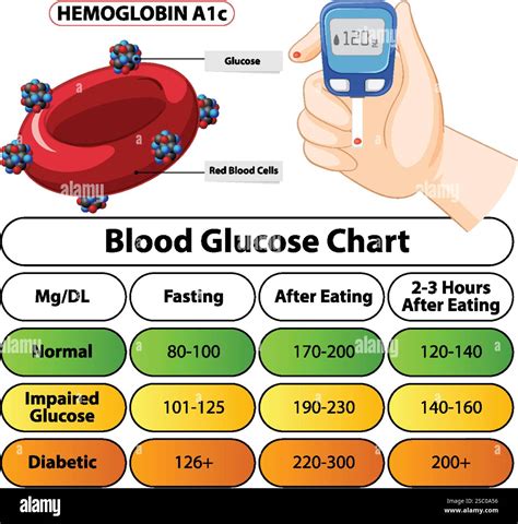 What Affects Glucose Levels