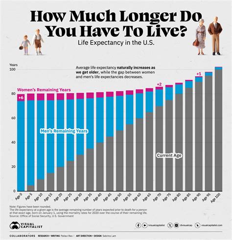 What Affects Life Expectancy The Most